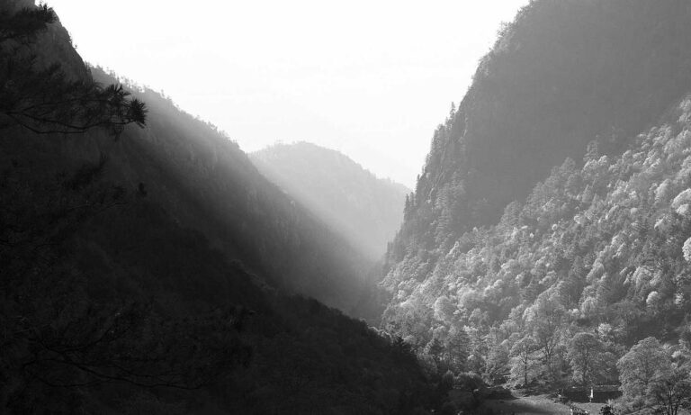 online gaming bfnctutorials