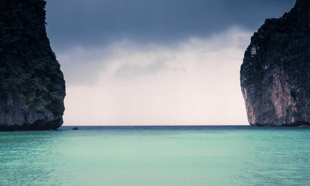 online reviews bfncreviews