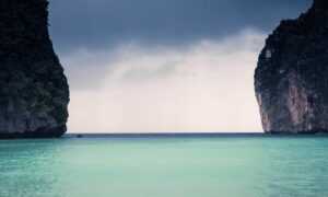 online reviews bfncreviews