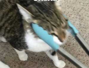 pblemulator upgrades