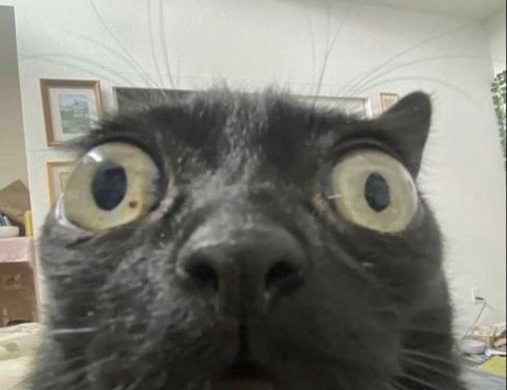 scookiepad set up instructions from simcookie