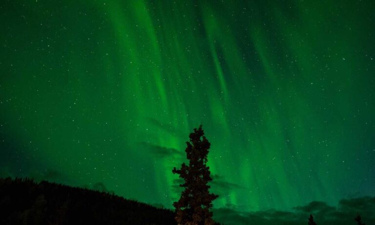 set up for pblemulator