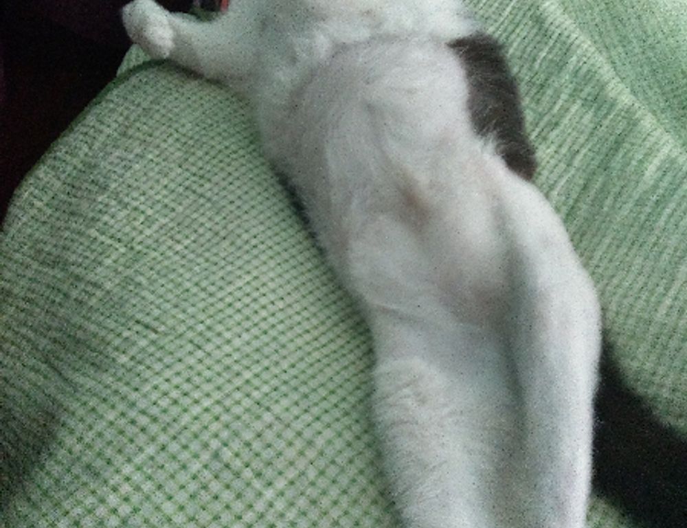 set up hearthssconsole