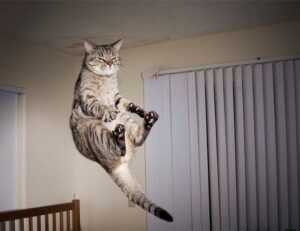 tech infoguide gamrawresports