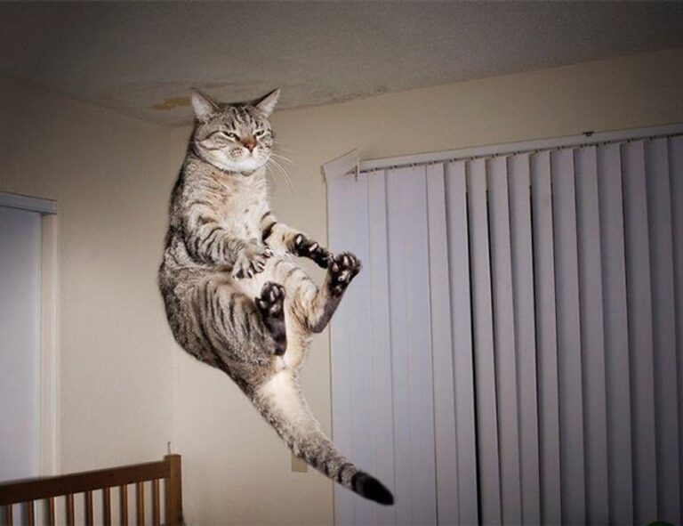 tech infoguide gamrawresports