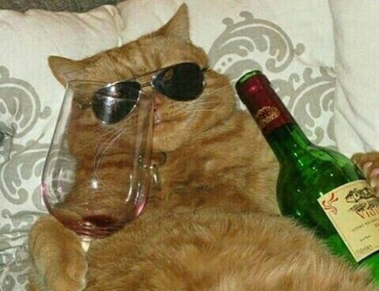 tgagamestick controller how to use