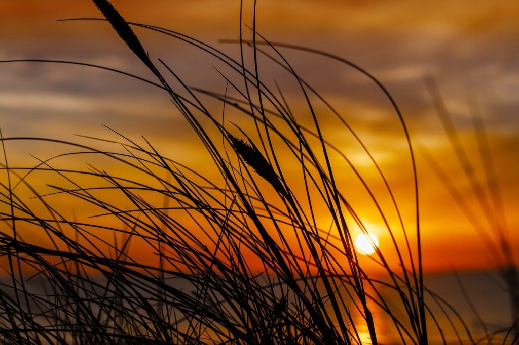 tgageeks gaming hacks