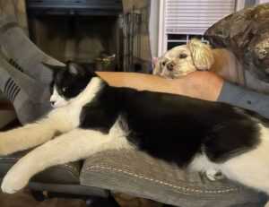 tgageeks gaming news