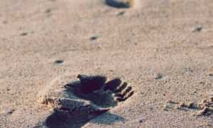 tgarchiveconsole set up