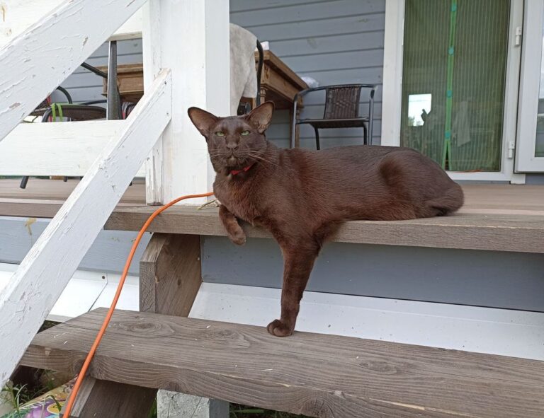 togamesticky gaming guide by thinkofgamers