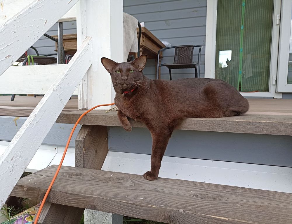 togamesticky gaming guide by thinkofgamers