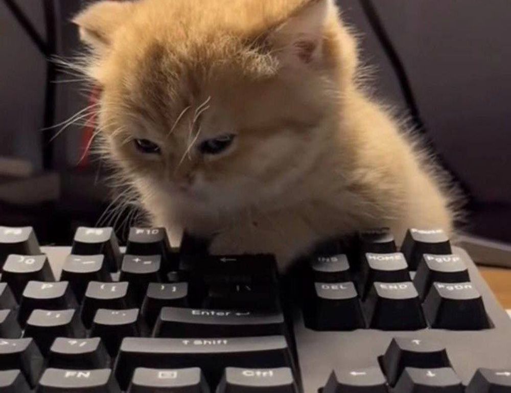 togamesticky gaming hacks from thinkofgamers