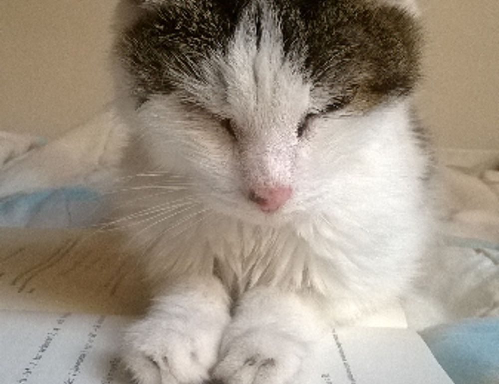 togamesticky new gamestick from thinkofgamers