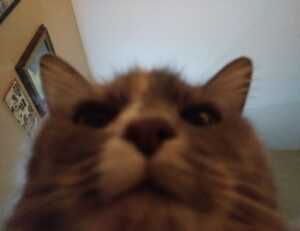 togplayering gameplay advice from thinkofgamers