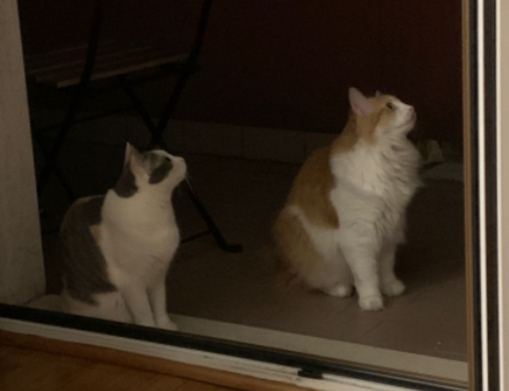 togplayering gameplay guide by thinkofgamers