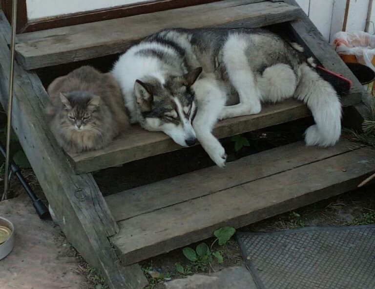 updates 2023 hearthssconsole