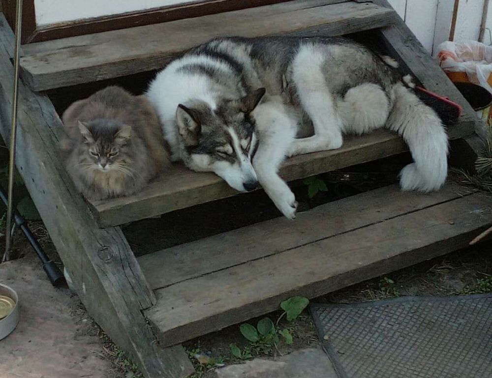 updates 2023 hearthssconsole