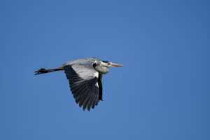 what games can you hack togamesticky