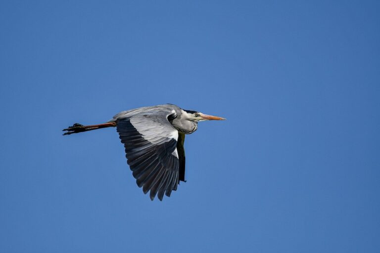 what games can you hack togamesticky