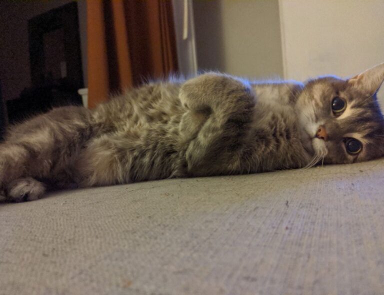 what gaming mouse to buy gmrrmulator