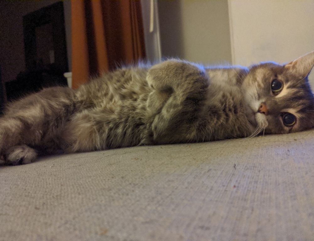 what gaming mouse to buy gmrrmulator