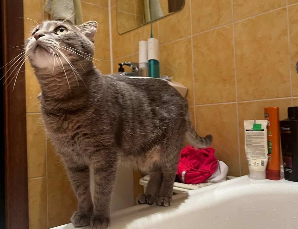 why do hackers hack in games togamesticky