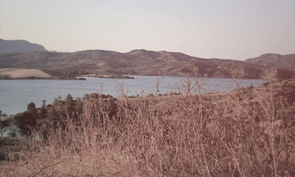 why gaming is fun bfnctutorials