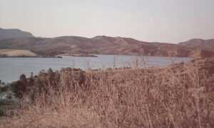 why gaming is fun bfnctutorials