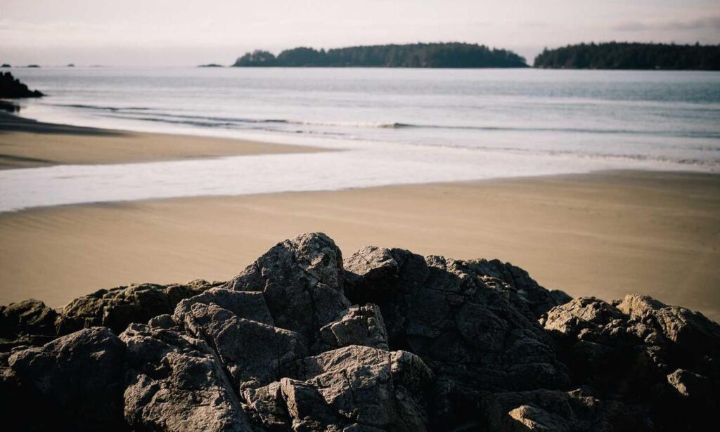 why gaming is healthy gmrrmulator