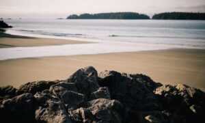 why gaming is healthy gmrrmulator