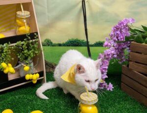 why gaming should be a sport befitgametek