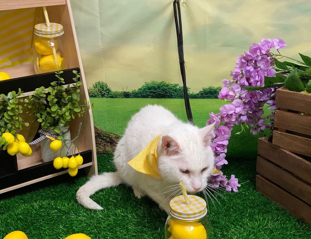 why gaming should be a sport befitgametek