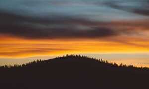 why video games are so popular togplayering