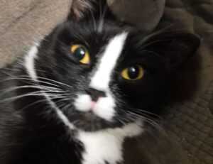 gaming world digitalrgsorg