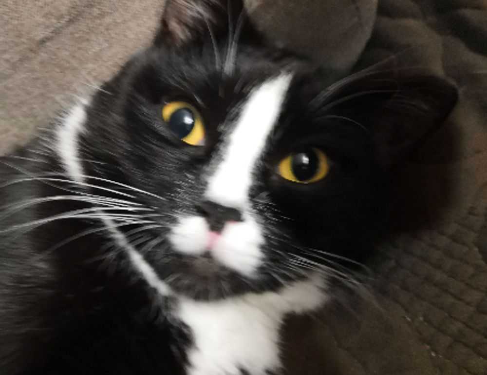 gaming world digitalrgsorg