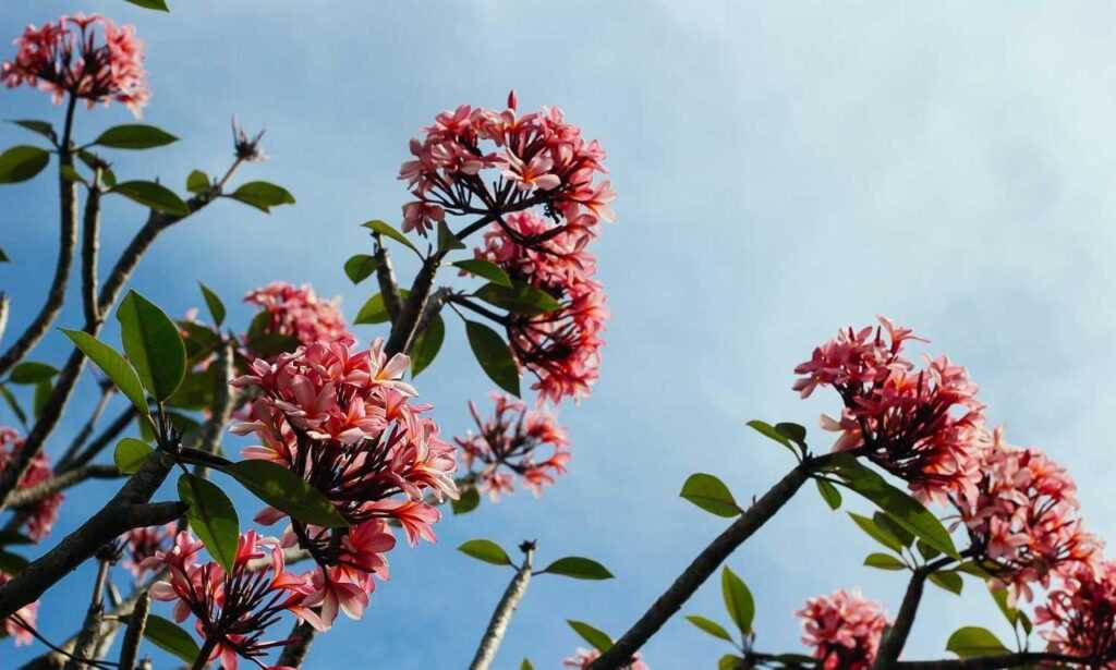 tech articles digitalrgsorg