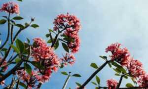 tech articles digitalrgsorg