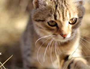 tech updates digitalrgsorg