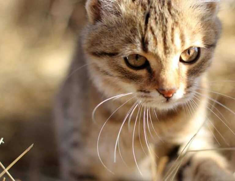 tech updates digitalrgsorg