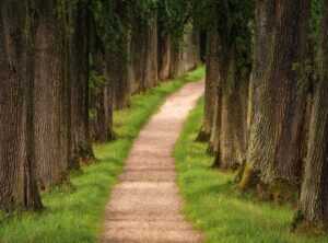 Greenpathassessment Popguroll