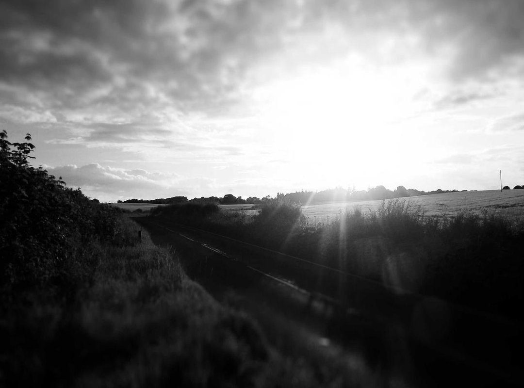 Practical Scenarios: When You'll Need to Convert kJ to Calories