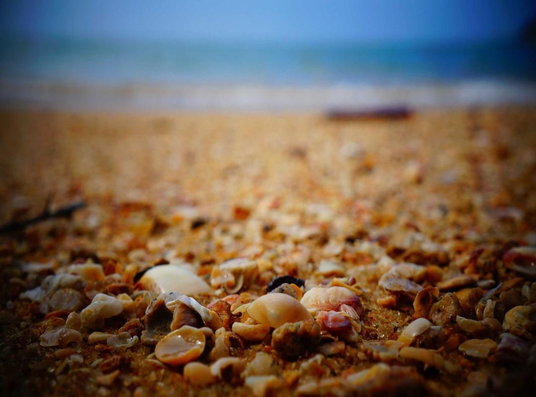 How to Play: A Round-by-Round Walkthrough