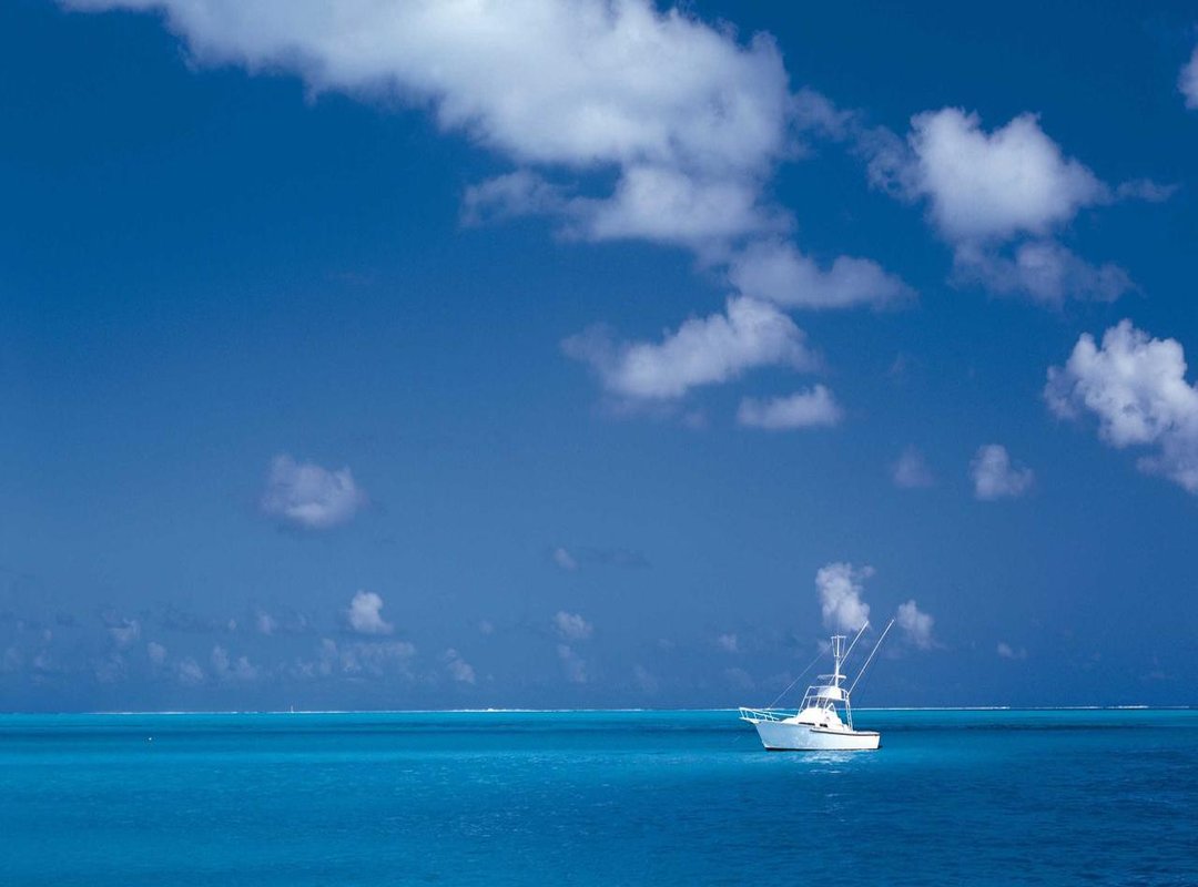 Understanding the Roles: Who's Who in the Series