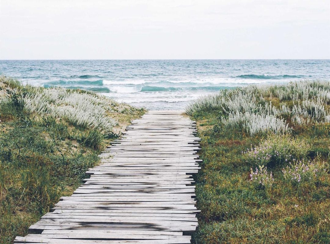 The Meaning Behind the Words: A Verse-by-Verse Analysis